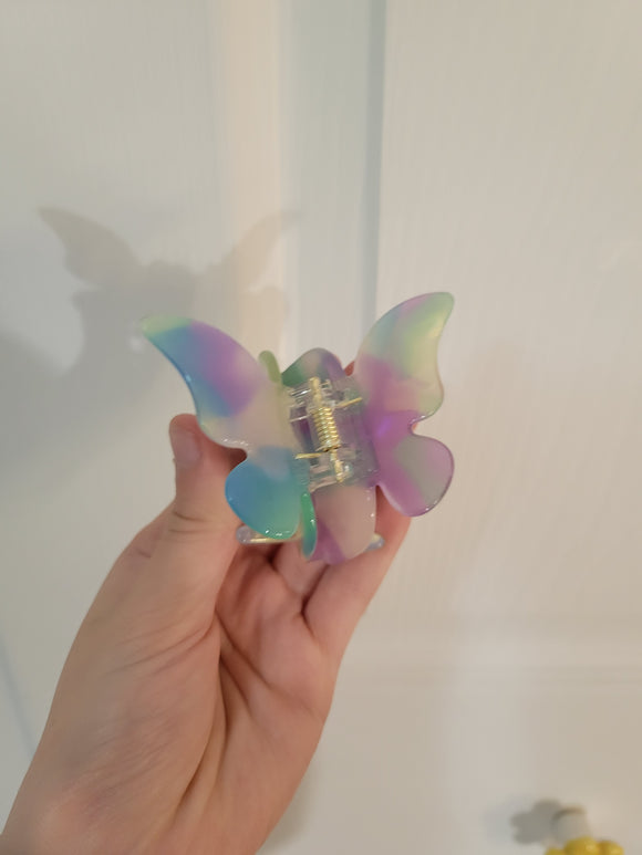 Pince papillon multicolore