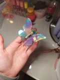 Pince papillon multicolore
